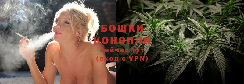 omg ССЫЛКА  сайты даркнета клад  Конопля White Widow  Каргополь 